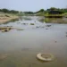 Nível do Rio Acre continua baixando
