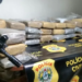 Polícia Civil apreende mais de cem quilos de maconha em Rio Branco