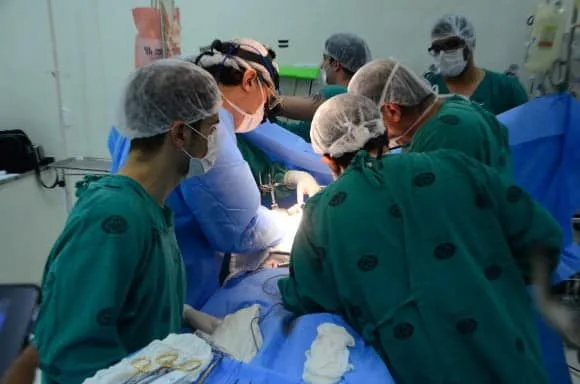 Central de Transplante realiza atividade voltada ao Setembro Verde