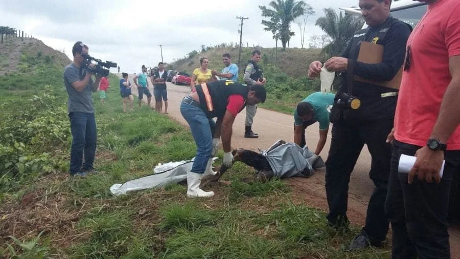 Corpo carbonizado é encontrado na Transacreana