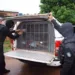 Presos na Operação Êxodo já estão na penitenciária