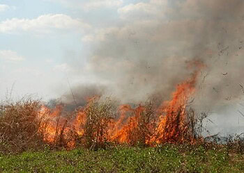 Em 2016 já foram registrados mais de 5,8 mil focos de queimadas no Acre