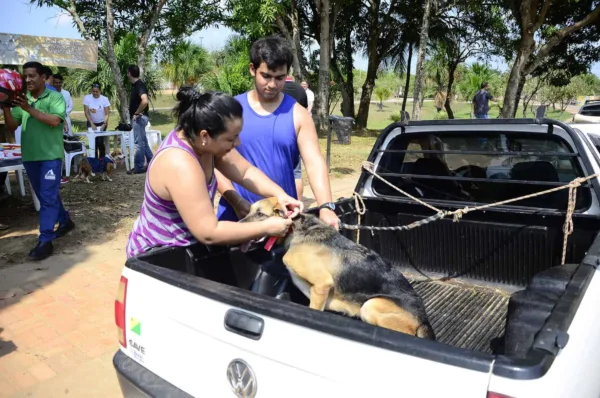 Secretaria de Saúde de Rio Branco realiza vacinação antirrábica neste sábado em três pontos da cidade