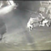 Corregedoria da PM investiga imagens que mostram agressão policial durante abordagem