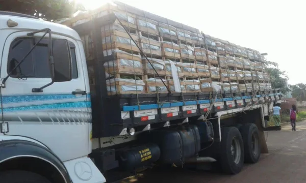 Família de Acrelândia vende banana acreana para Cuiabá e Manaus