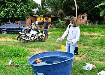 No dia 20 de novembro será lançada oficialmente a campanha de combate ao mosquito Aedes aegypti
