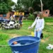 No dia 20 de novembro será lançada oficialmente a campanha de combate ao mosquito Aedes aegypti