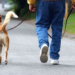 A02JAA Man walking dog