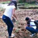 Voluntários plantam mais 45 mudas de árvores às margens do Igarapé Santo Amaro