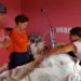 Primeira-dama e voluntários prestam solidariedade a pacientes do Melhor em Casa
