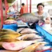 Feira do Peixe Natalina inicia nesta quarta na Ceasa de Rio Branco