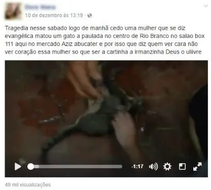 Cabelereira mata gato a pauladas dentro de mercado municipal em Rio Branco