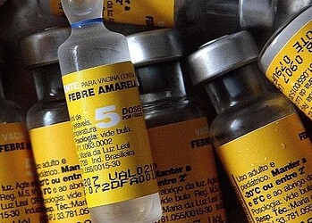 Surto de febre amarela em Minas Gerais deixa acreanos em alerta