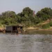 Rio Acre continua subindo e prefeitura começa construção de abrigos na Capital
