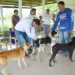 Centro de Zoonoses inicia vacinação antirrábica em áreas ribeirinhas da Capital