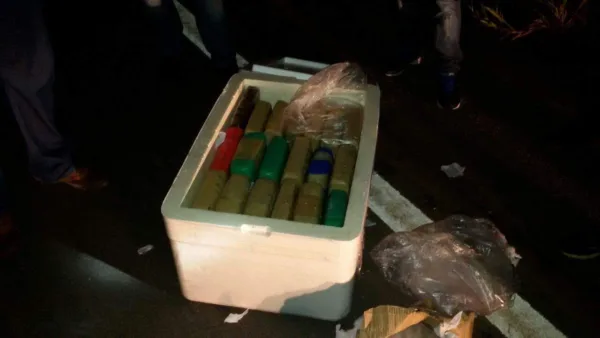 Polícias Civis apreendem mais de 40 quilos de maconha em Cruzeiro do Sul