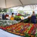 Em sua 4ª edição, Festival de Flores de Holambra traz 100 novas espécies