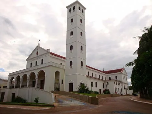 Igreja Católica lança Campanha da Fraternidade 2017 com o tema Biomas Brasileiros