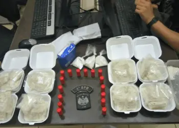 Homem é preso com droga escondida dentro de embalagens de isopor