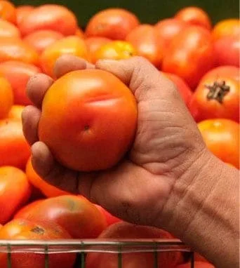 Cesta básica em Rio Branco custa R$ 330,58, aponta índice do Dieese