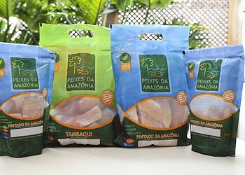 Indústria Peixes da Amazônia amplia mercado de exportação