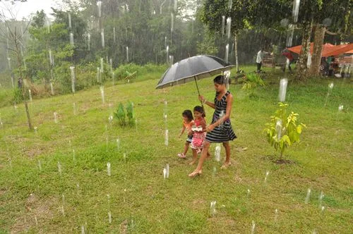 Quinta deve ter chuvas pela manhã em vários pontos do Acre, prevê Sipam