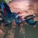 Acidente na BR-317 deixa dois mortos e outras duas pessoas feridas