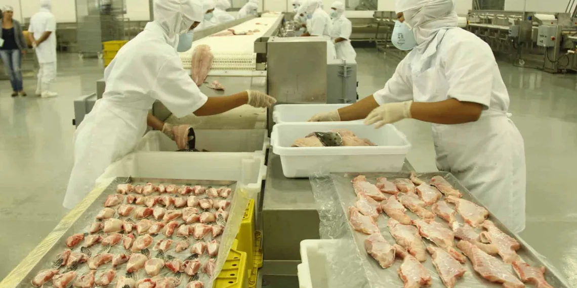 Peixes da Amazônia amplia venda durante o feriado católico