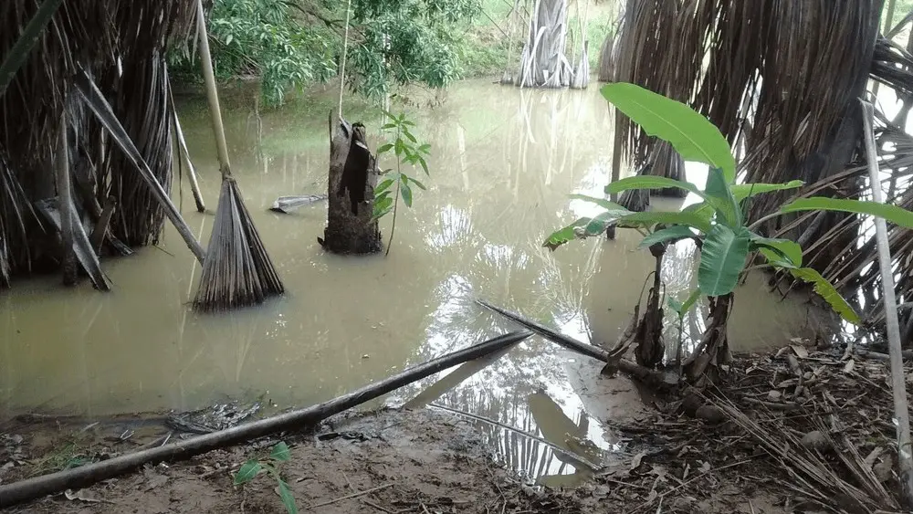 Corpo de homem é achado em açude na Vila do Incra, em Porto Acre 1 Corpo de homem é achado em açude na Vila do Incra, em Porto Acre