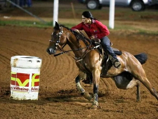 NBHA abre inscrições para o VII Campeonato dos três tambores