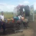 Ciopaer resgata indígena picada por cobra na fronteira com Peru