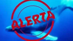 Jovem no Acre chega ao 50° desafio da Baleia Azul e ingere água oxigenada ao tentar suicídio