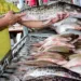 Sebrae no Acre é parceiro em Feiras do Peixe