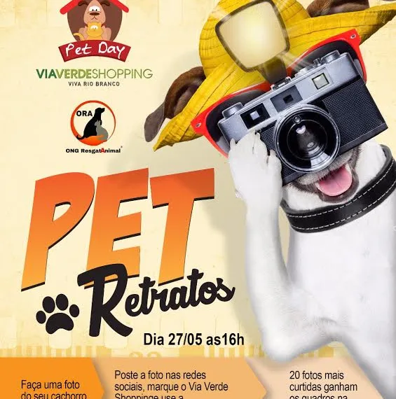Fotografias de cães serão exibidas na exposição ‘Pet Retratos’ no Via Verde Shopping