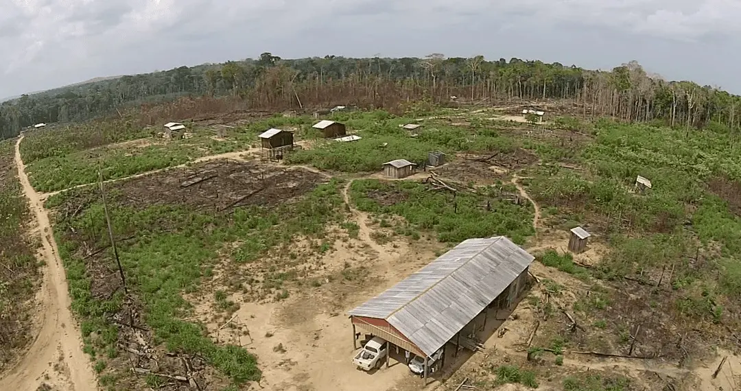 Indígena mata irmão por acidente e depois se suicida com a própria espingarda 1 Indígena mata irmão por acidente e depois se suicida com a própria espingarda