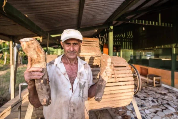 “Já cheguei a fazer mil quilos por semana”, diz agricultor sobre produção de farinha