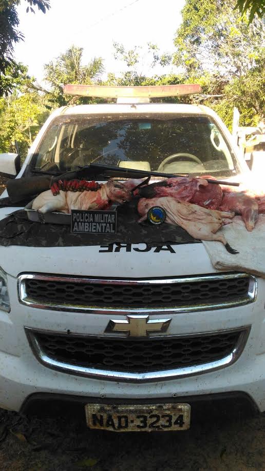 PM prende agente por abate ilegal de animais silvestres em Plácido de Castro - FOTO CEDIDA SESP