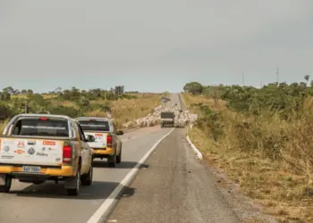 Rally da Pecuária reúne pecuaristas que buscam novas tecnologias no Acre 2 Rally da Pecuária reúne pecuaristas que buscam novas tecnologias no Acre