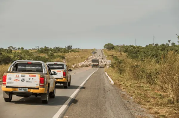Rally da Pecuária reúne pecuaristas que buscam novas tecnologias no Acre