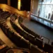 Cine Araújo inaugura salas Premium em Rio Branco nesta semana