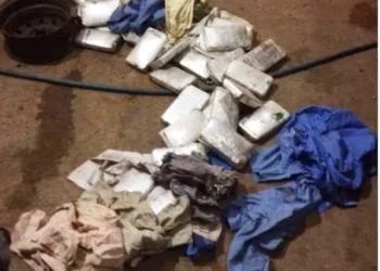 PF e Bope apreendem carregamento de 31 tijolos de cocaína na BR-364 8 PF e Bope apreendem carregamento de 31 tijolos de cocaína na BR-364