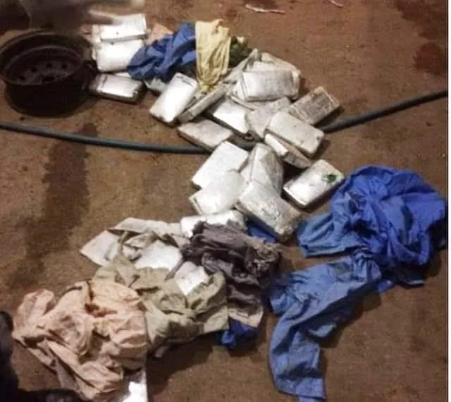 PF e Bope apreendem carregamento de 31 tijolos de cocaína na BR-364