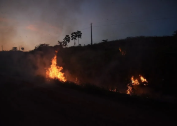 Acre é o segundo estado com menos focos de calor na Amazônia Legal