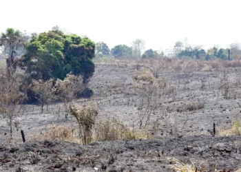 Prefeitura mantém equipes atuando 24h contra queimadas em Rio Branco