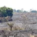 Prefeitura mantém equipes atuando 24h contra queimadas em Rio Branco