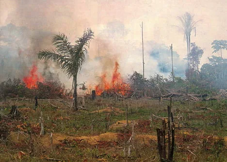 Apesar de proibidas, as queimadas registradas em Rio Branco preocupam autoridades e influenciam na saúde da população