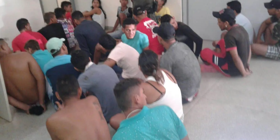 Fotos/Assessoria
