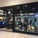 Imaginarium reinaugura no Via Verde Shopping