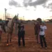 Competidoras se preparam para a Prova dos Três Tambores na Expoacre; prova será dia 27