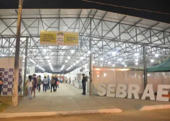 Sebrae apresenta modelos de negócios inovadores durante a Expoacre 2017